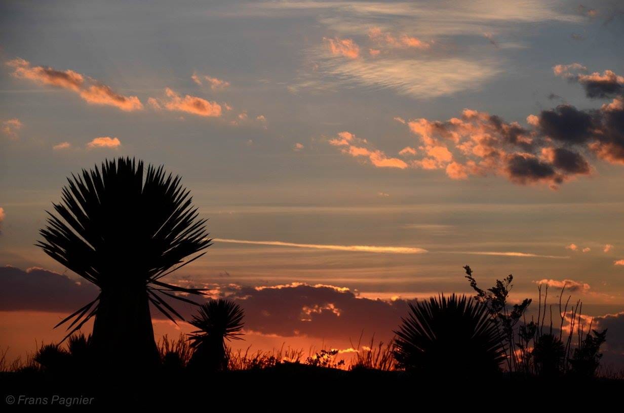 Wirikuta Sunset