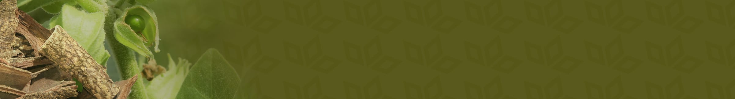 Ethnobotanicals